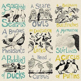 Collective Noun Birds Tea Towel