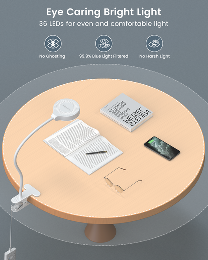 Clip-On Reading Light