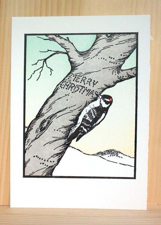 Woodpecker Christmas Cards