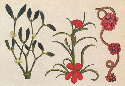 Botanicum Postcards