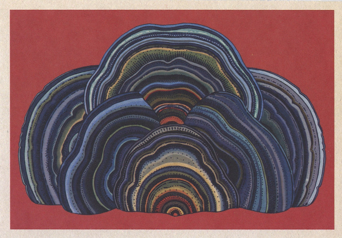 Botanicum Postcards