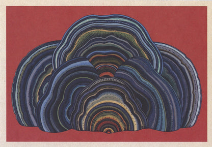 Botanicum Postcards