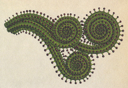 Botanicum Postcards