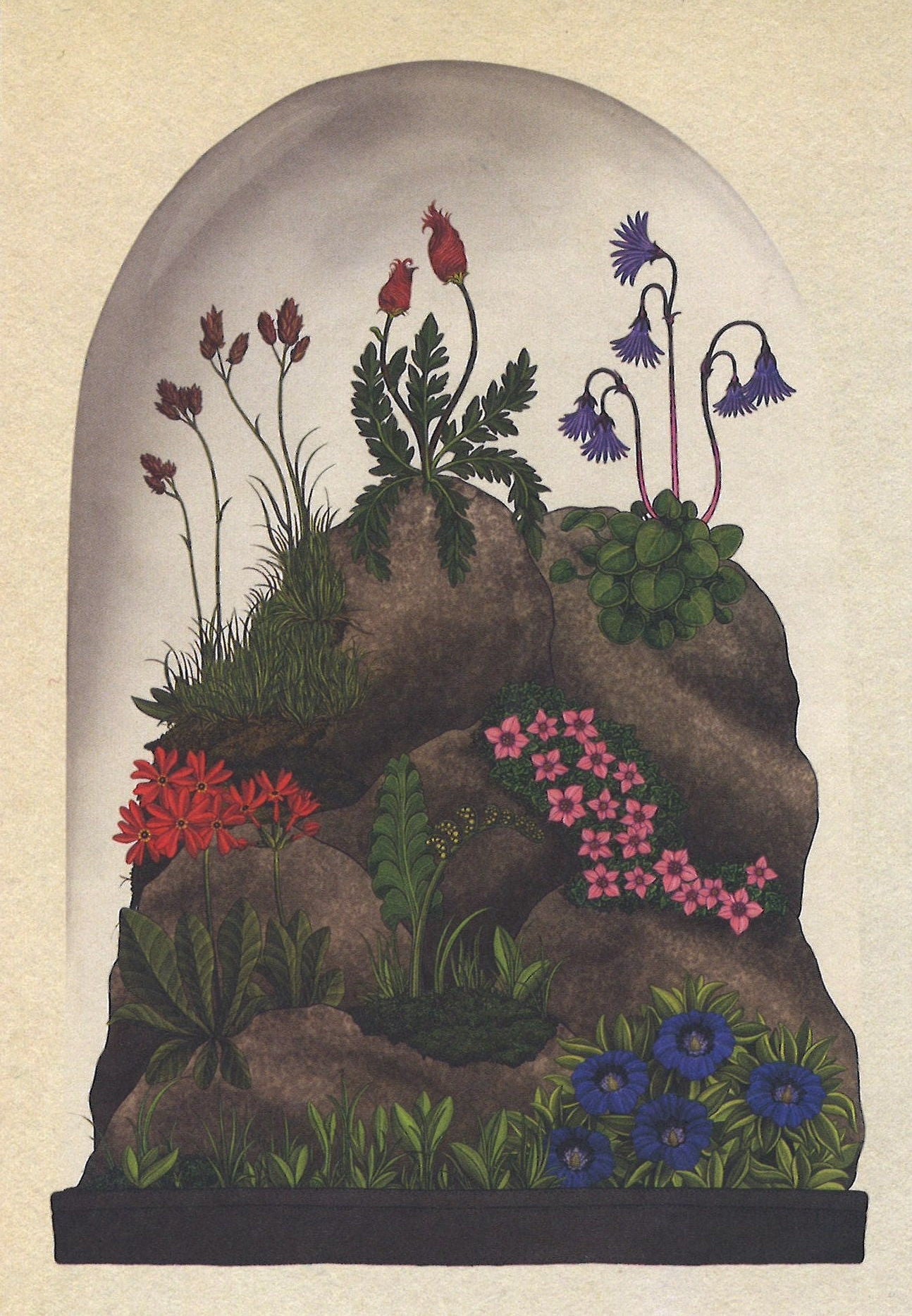 Botanicum Postcards