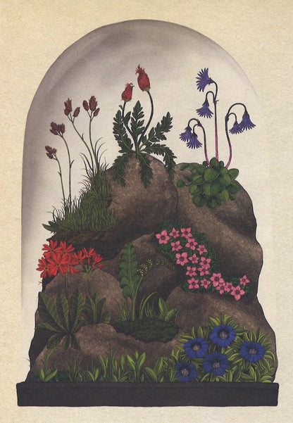 Botanicum Postcards