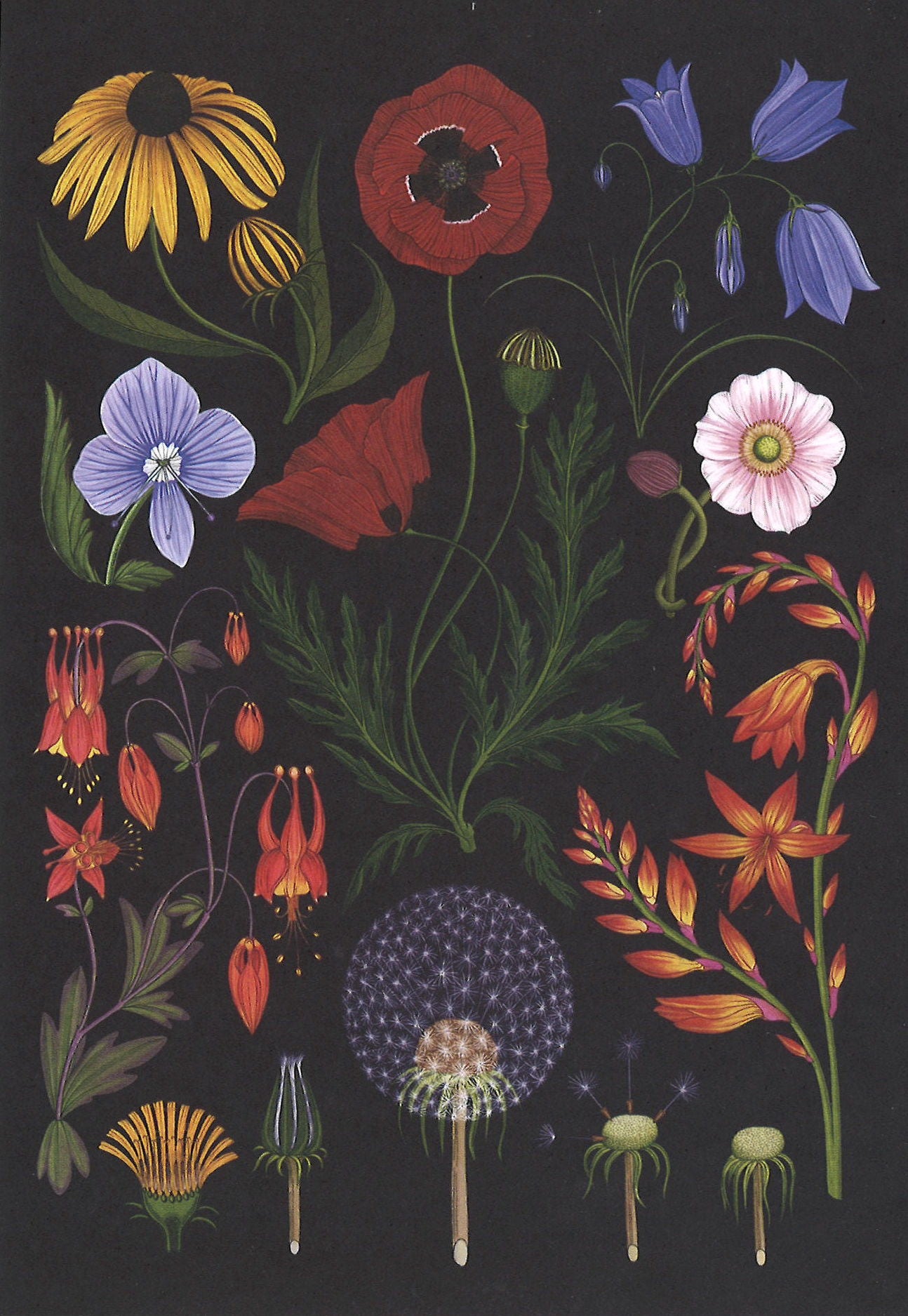 Botanicum Postcards