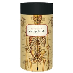 Skeletal System: 1,000-Piece Puzzle
