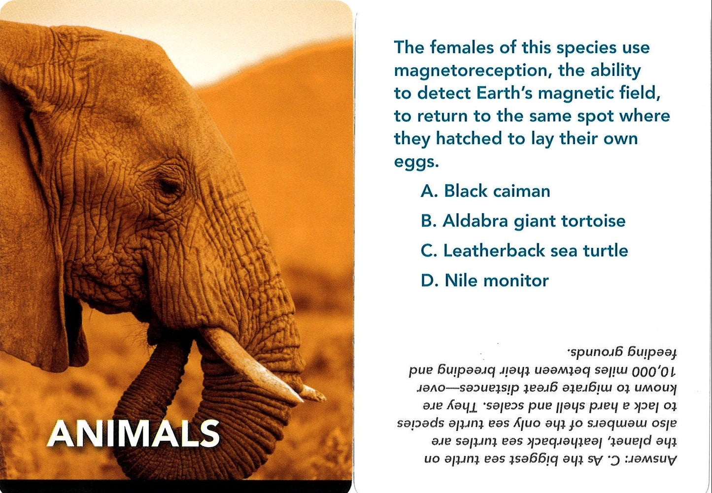 Smithsonian Natural History Trivia