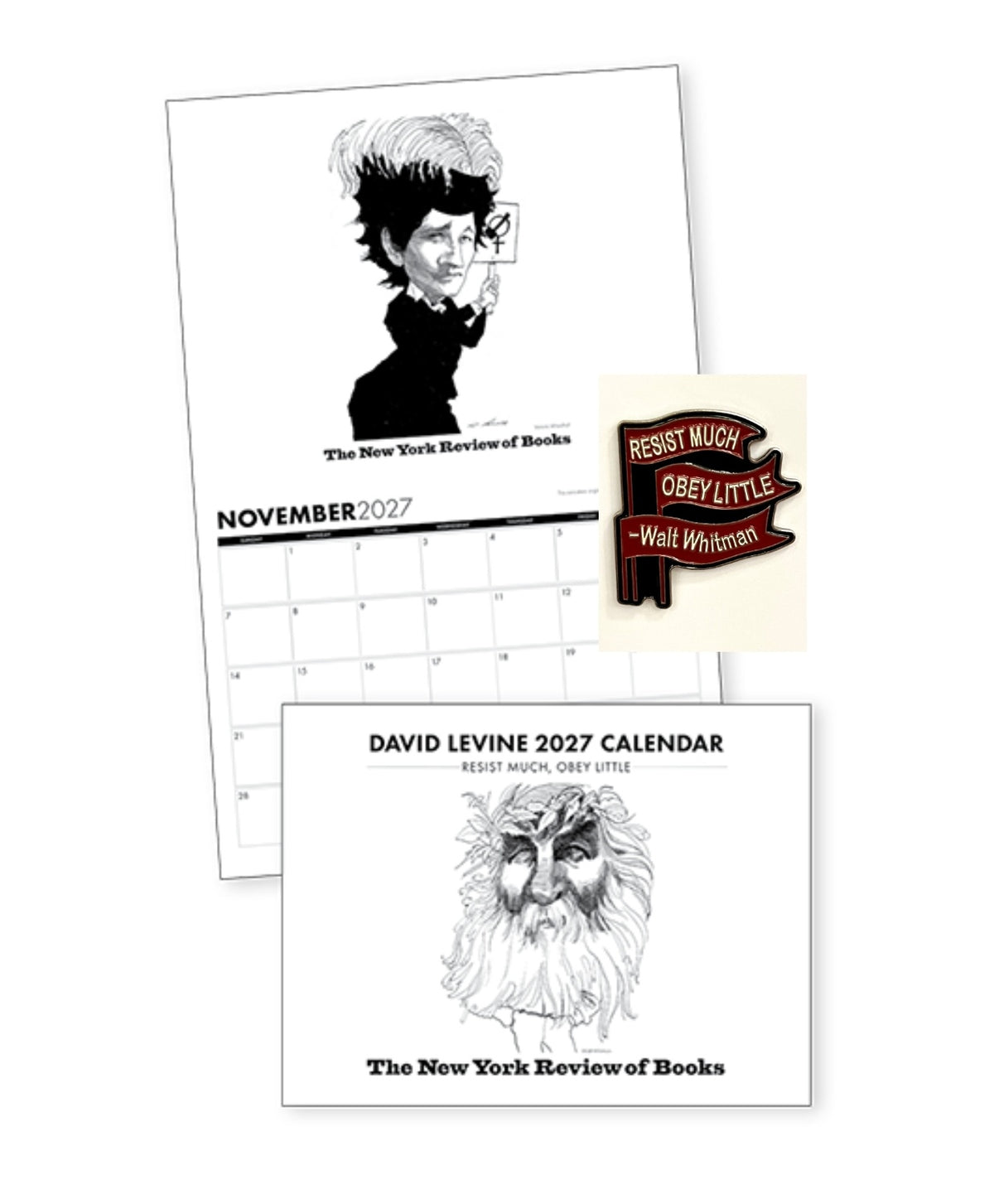David Levine 2027 Calendar