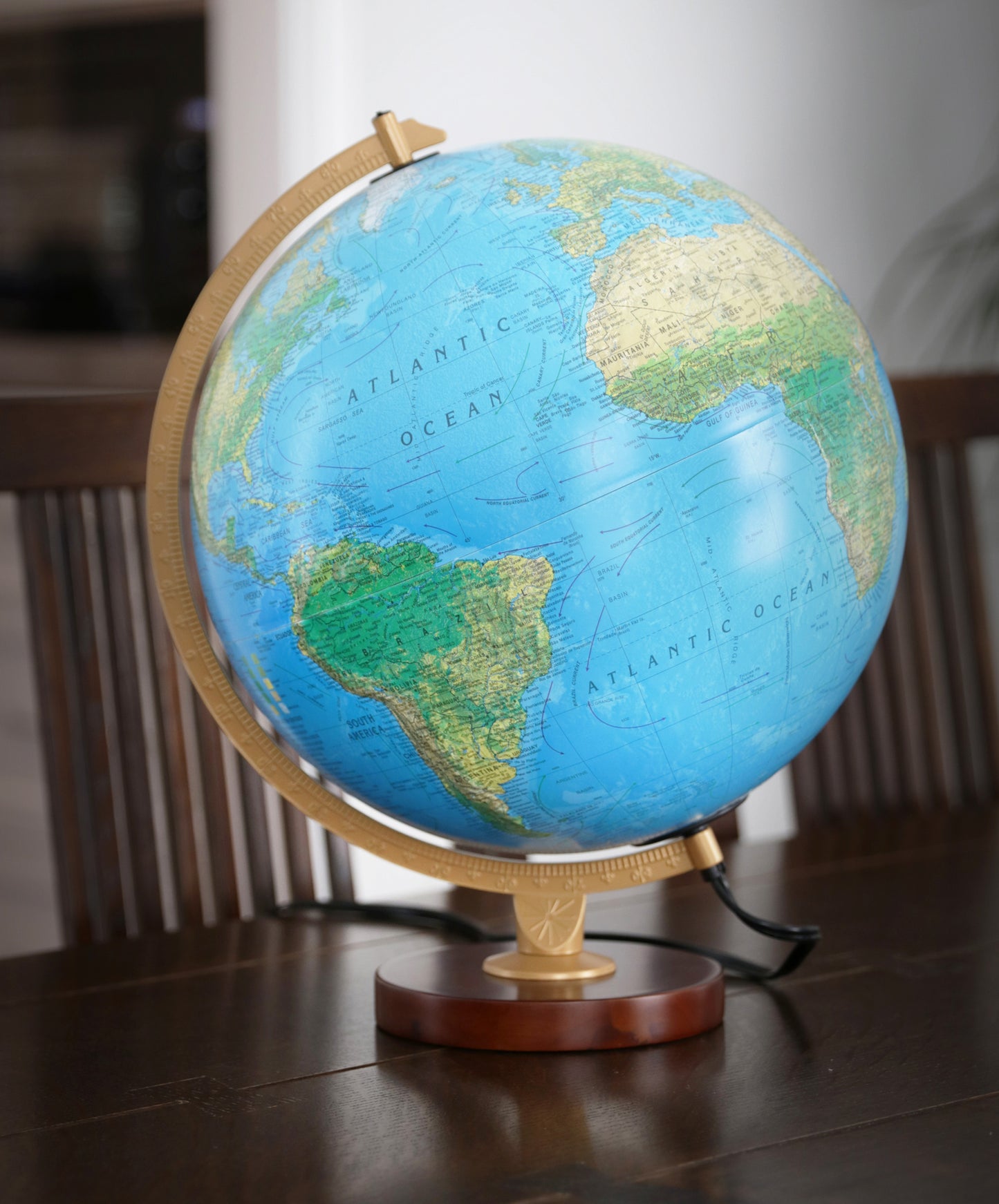 Illuminated Raised Relief Desk Globe – The Reader's Catalog