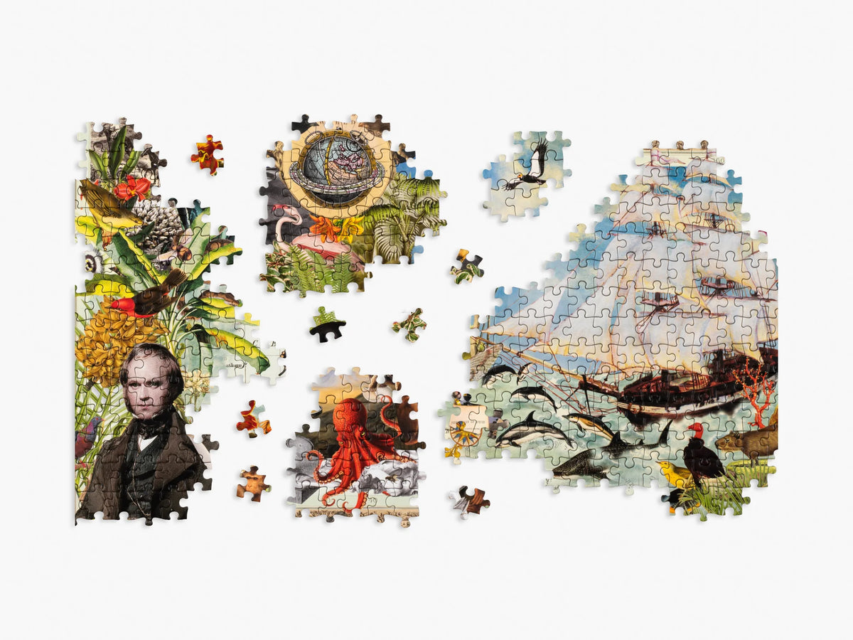 Charles Darwin’s Voyage on H.M.S. Beagle: 1000-Piece Jigsaw Puzzle