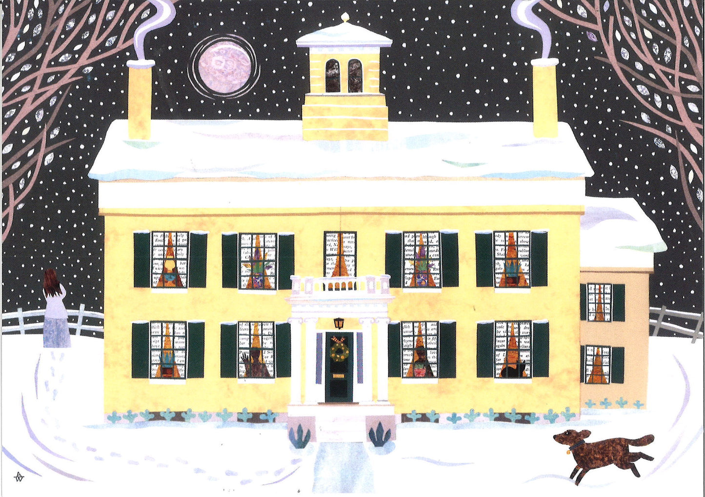 Amanda White Variety Packs-Limited Time Only