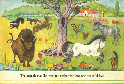 D’Aulaires’ Book of Animals