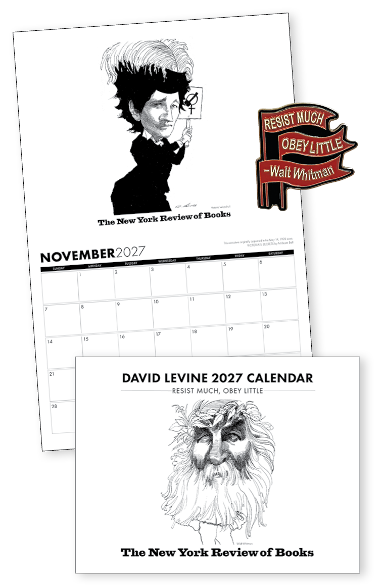 David Levine 2027 Calendar