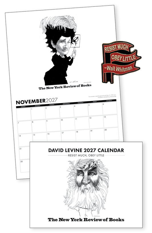 David Levine 2027 Calendar