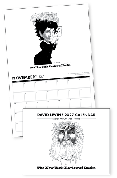 David Levine 2027 Calendar