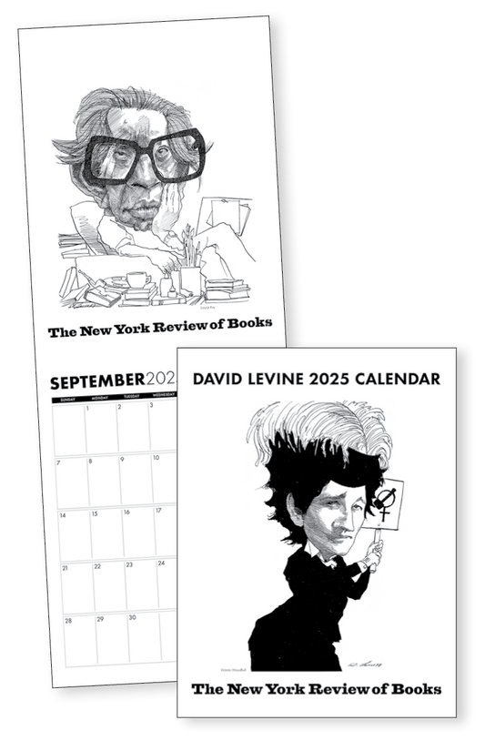 David Levine 2025 Calendar