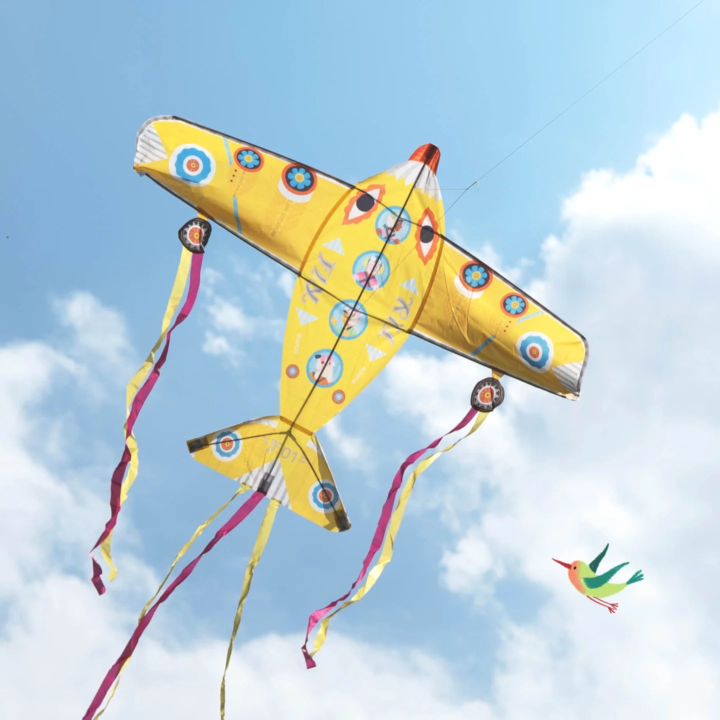 Plane Giant Kite