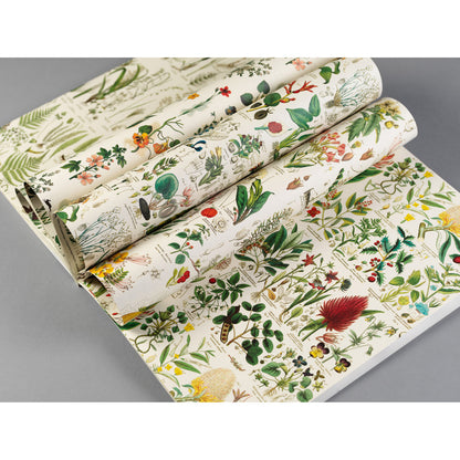 Flora Wrapping Paper Book