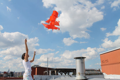 Sailing Ship Kite