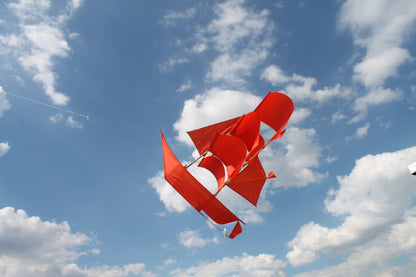 Sailing Ship Kite