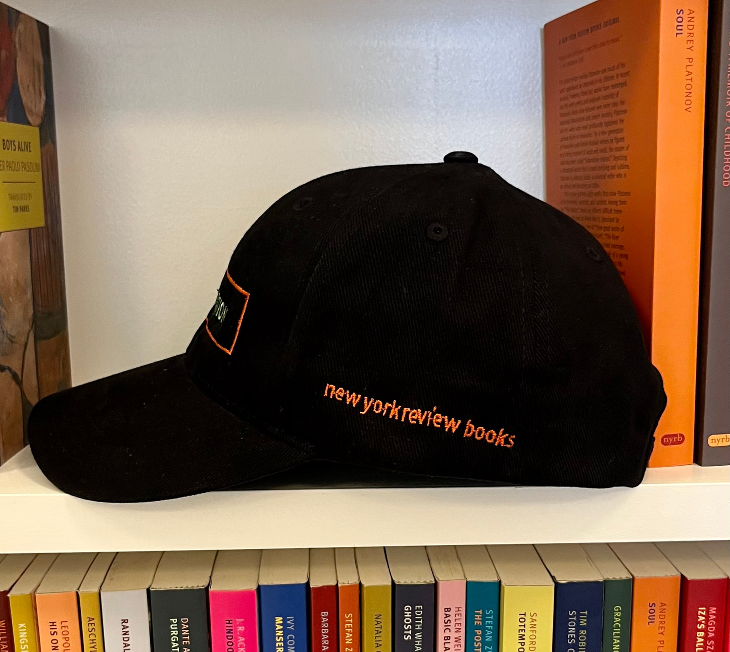 Anti-Education NYRB Baseball Cap