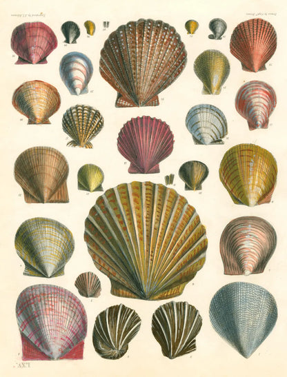 John Derian Wrapping Paper Books