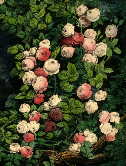 John Derian Wrapping Paper Books