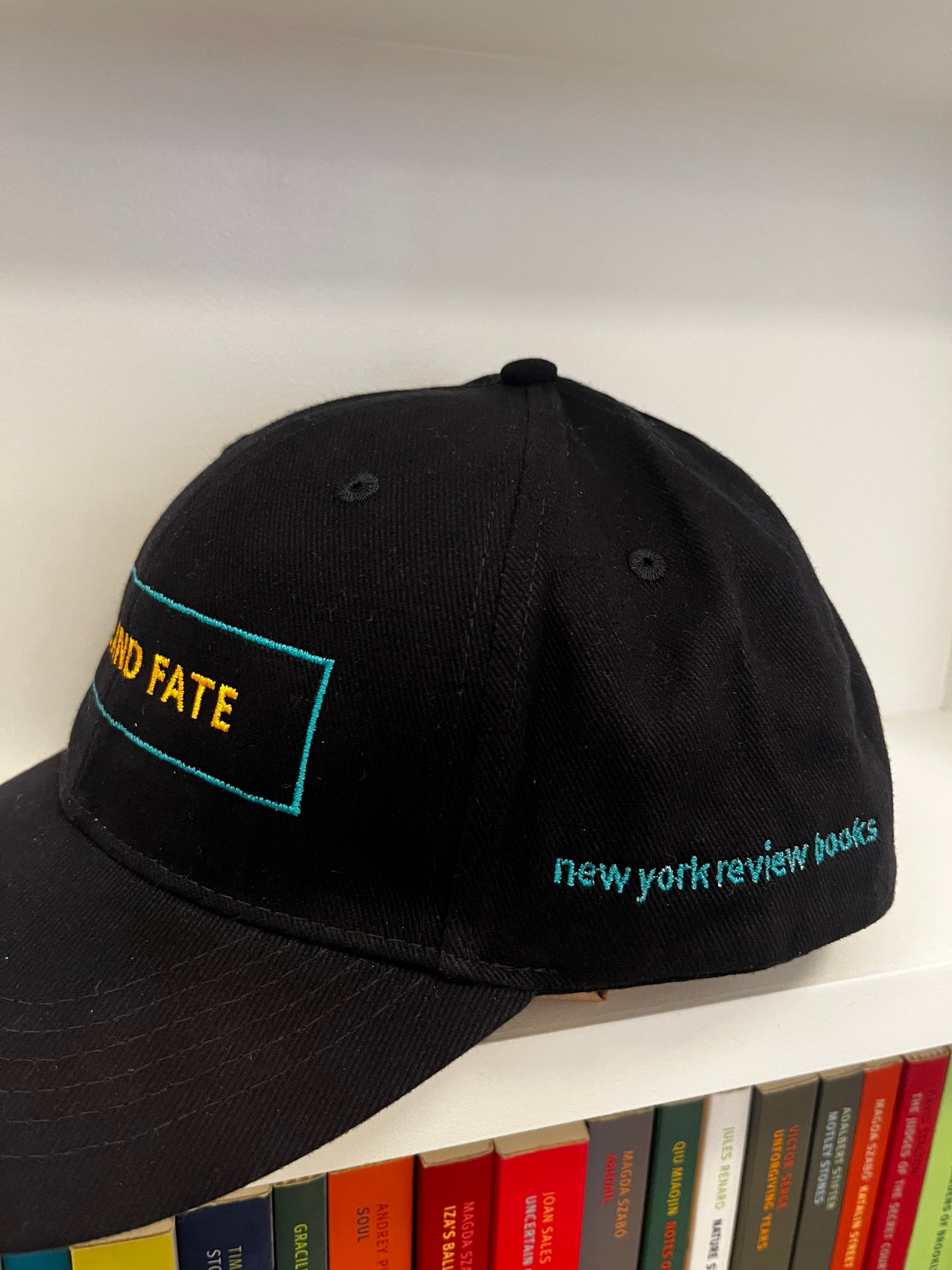 Life and Fate NYRB Baseball Cap