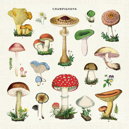 Vintage Champignon Napkins