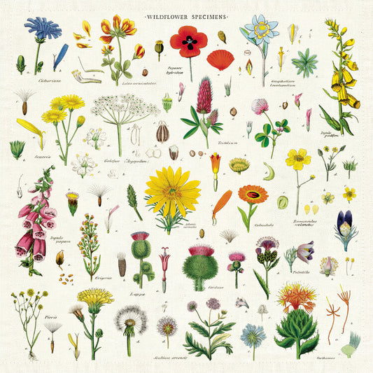 Vintage Wildflowers Napkins