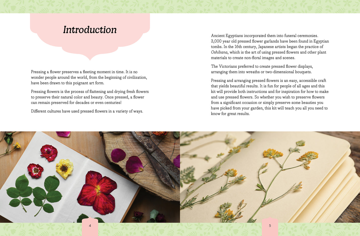 Pressed Flower Crafts Kit