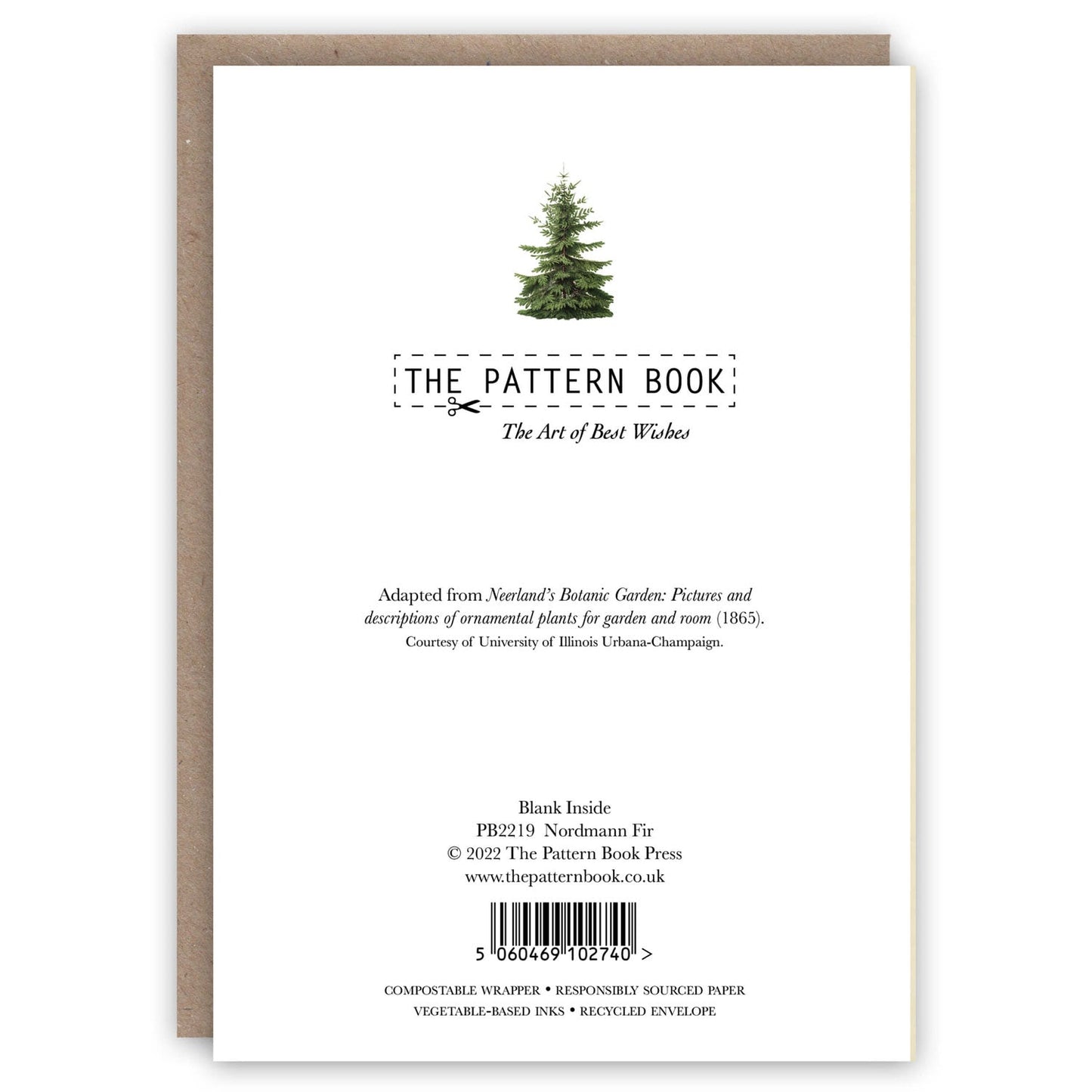 Nordmann Fir Holiday Card Set