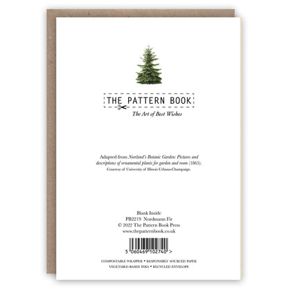 Nordmann Fir Holiday Card Set