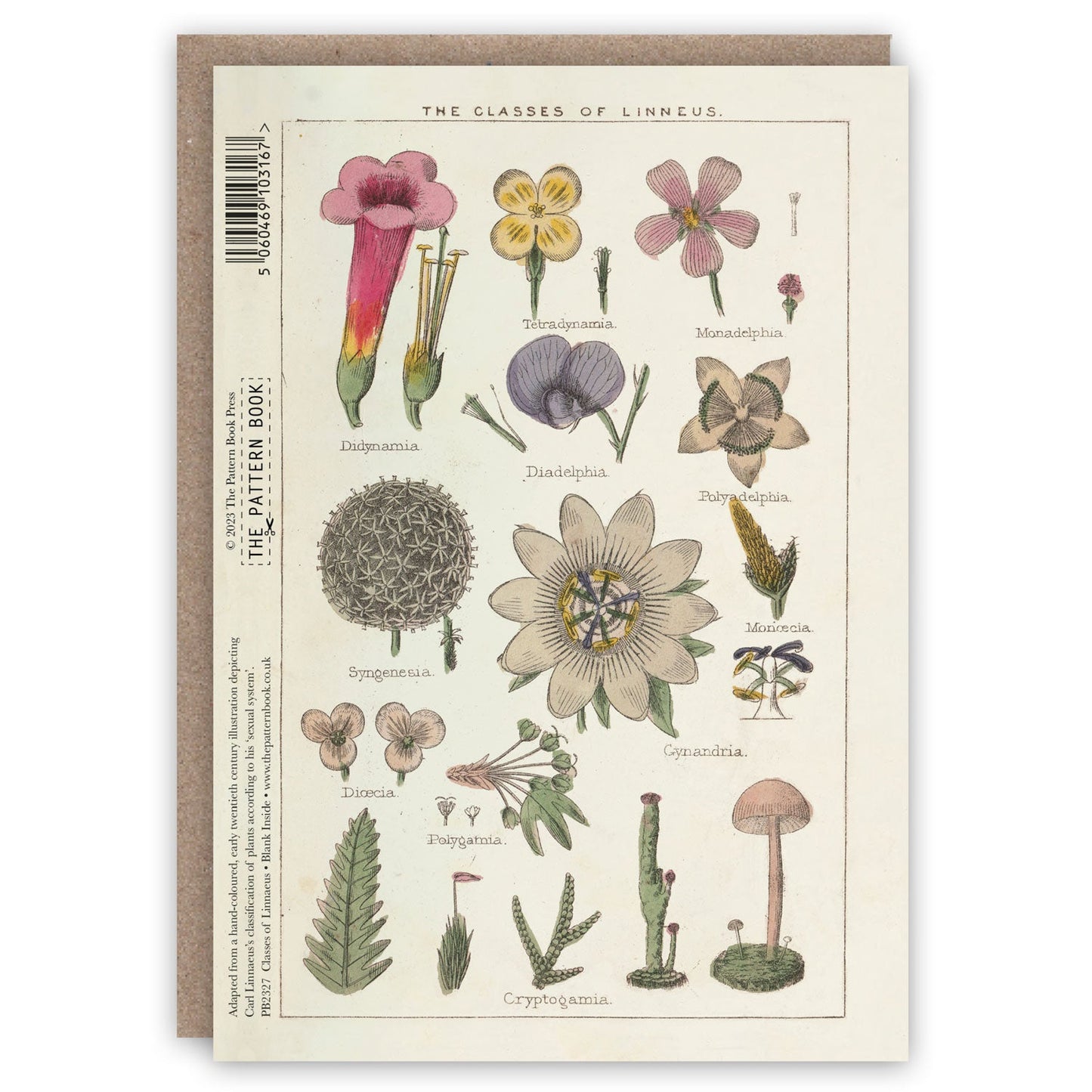 The Floral Greeting Card Collection