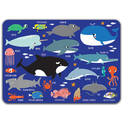 Learn About France Placemat Sets
