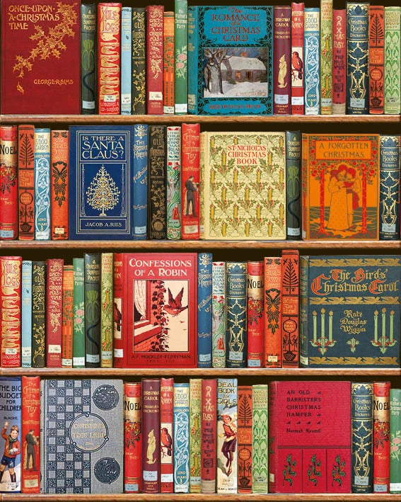 Christmas Bookshelf Advent Calendar Card