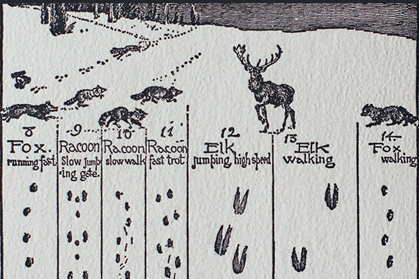 Animal Tracks in the Snow Holiday Cards