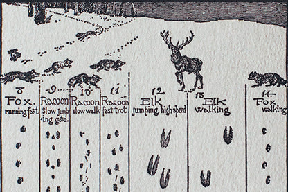 Animal Tracks in the Snow Holiday Cards