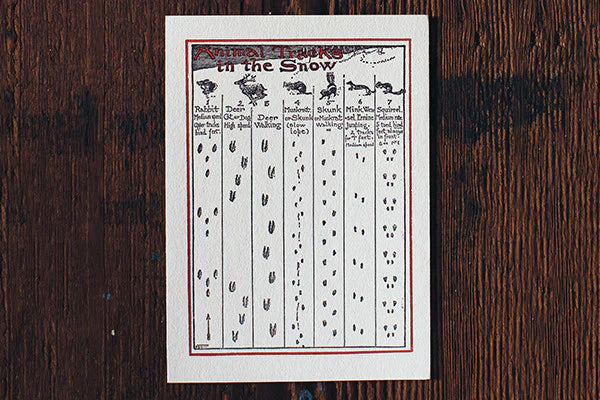 Animal Tracks in the Snow Holiday Cards