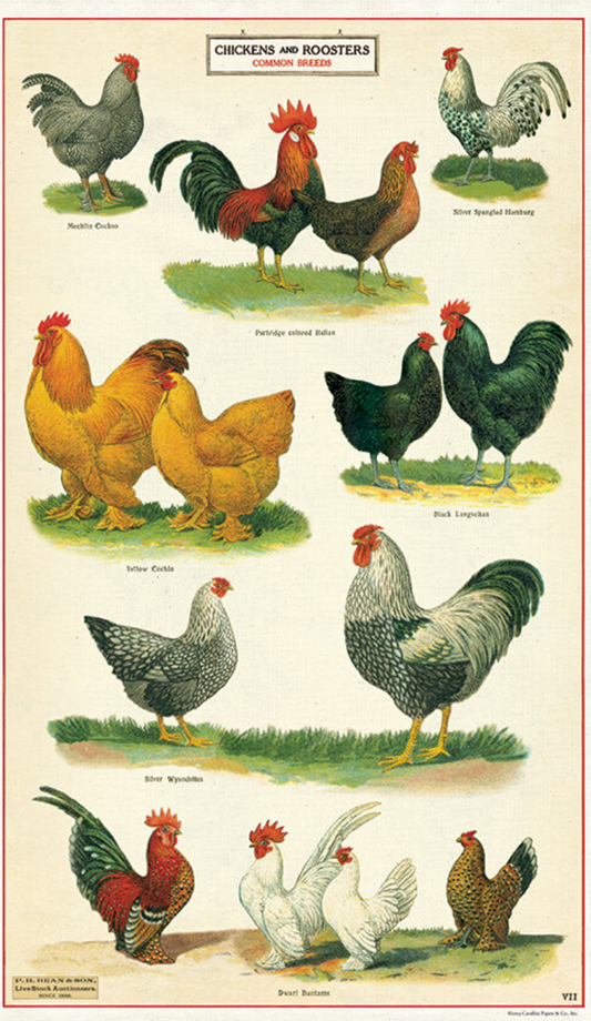 Vintage Chickens Tea Towel