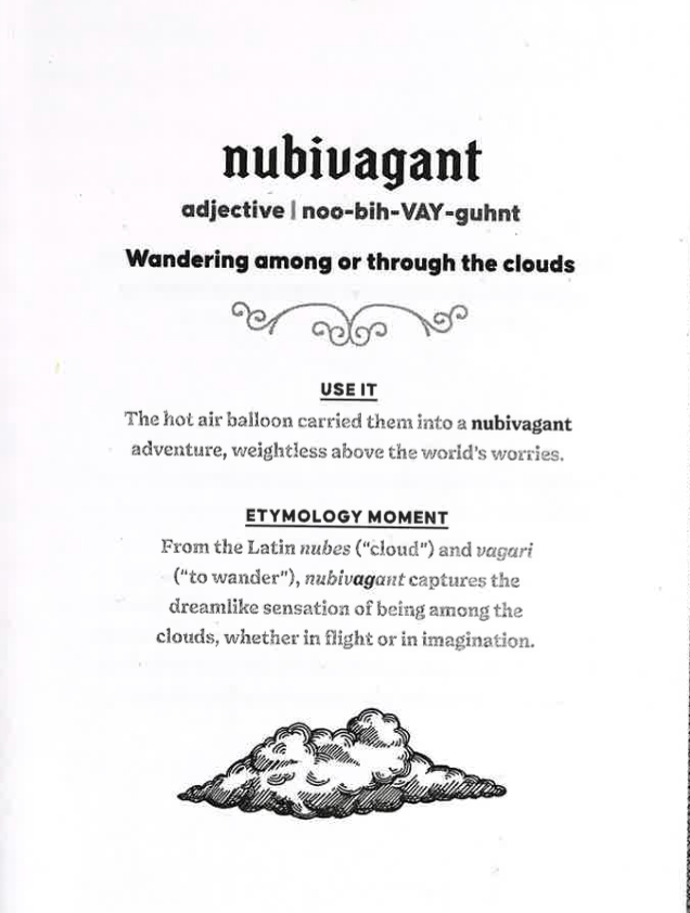 The Dictionary of Obscure and Enchanting Words
