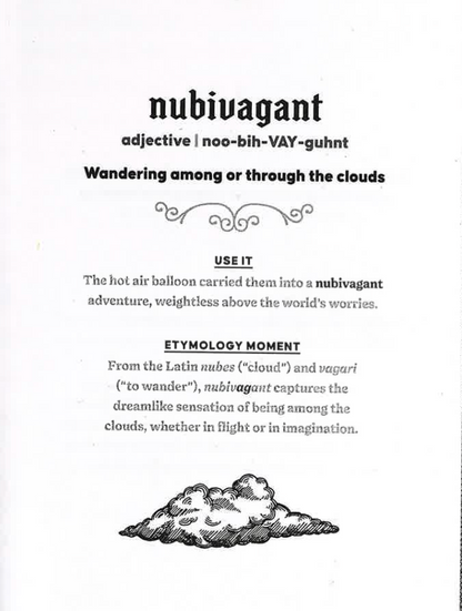 The Dictionary of Obscure and Enchanting Words