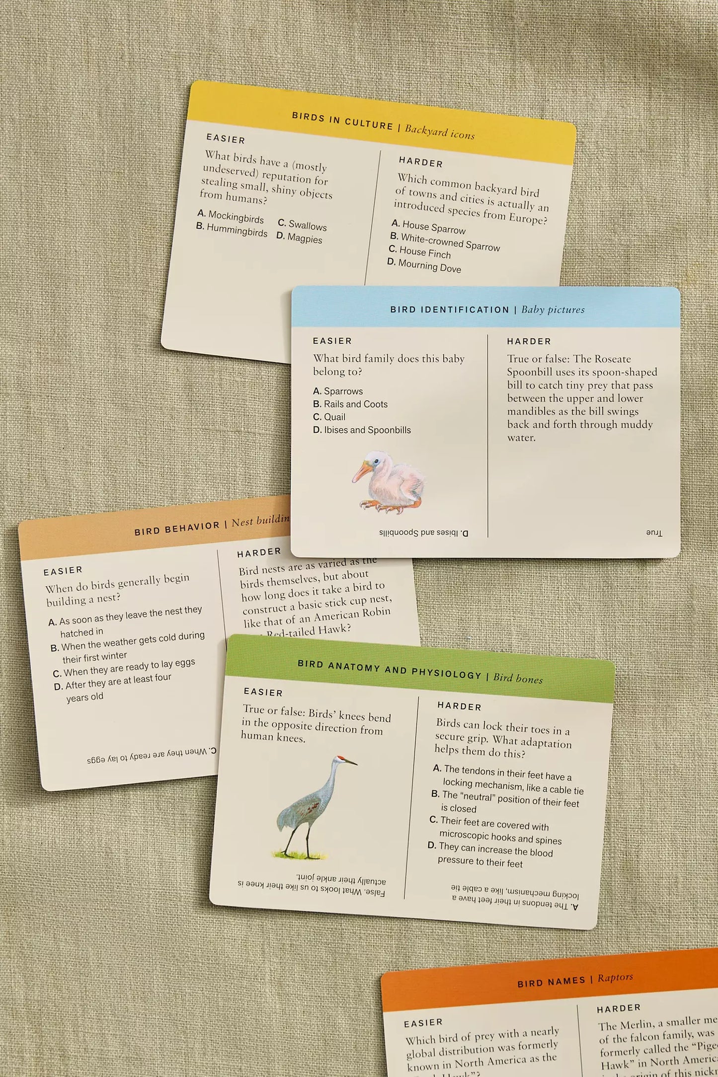 Sibley Birder’s Trivia
