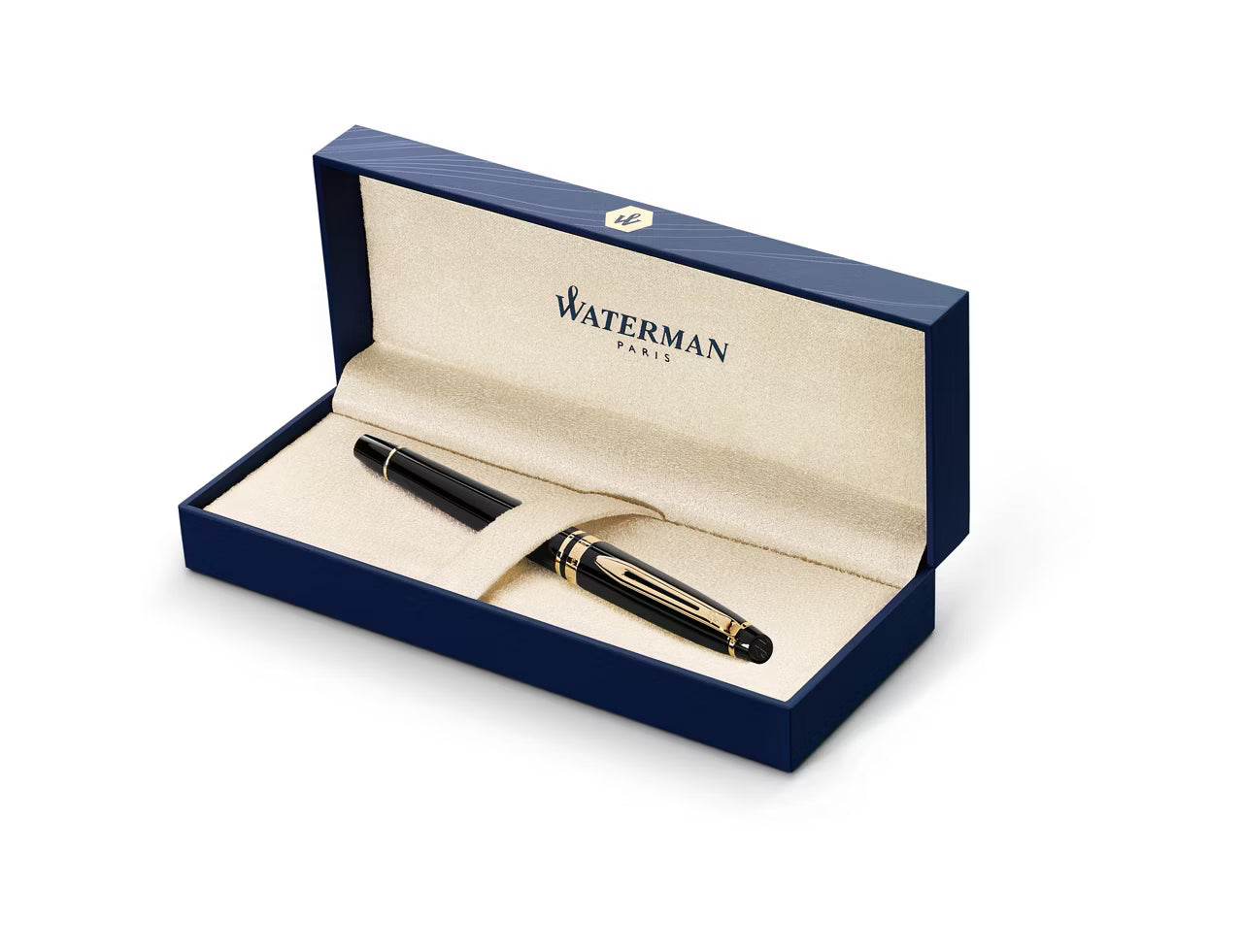 Waterman Expert Fountain Pen