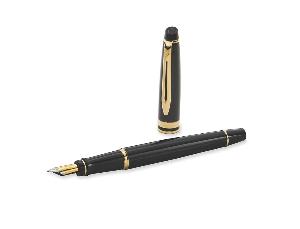 Waterman Expert Fountain Pen