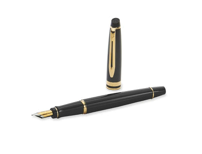 Waterman Expert Fountain Pen