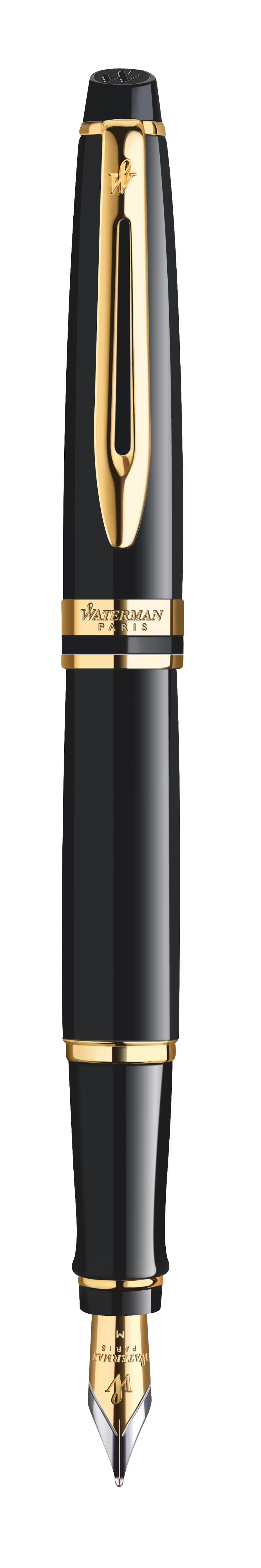 Waterman Expert Fountain Pen