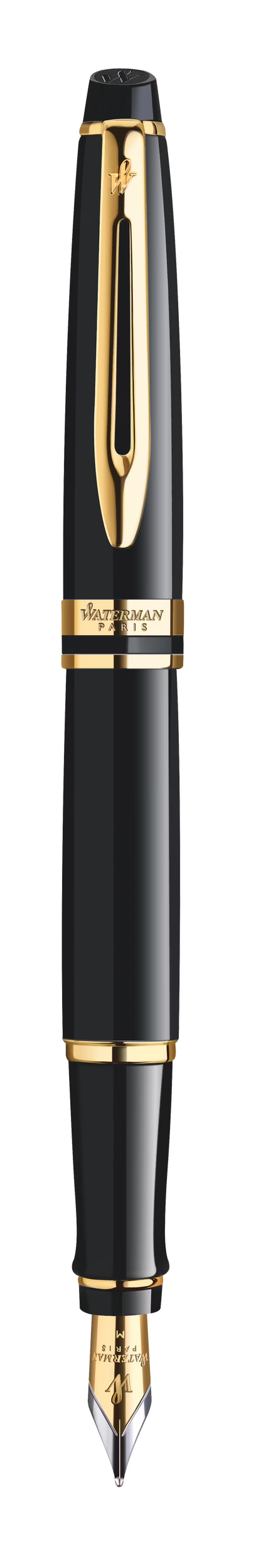 Waterman Expert Fountain Pen