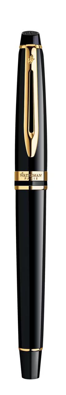 Waterman Expert Fountain Pen